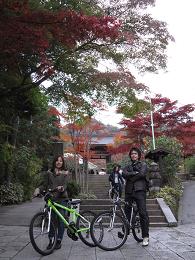 toichi お客様の声