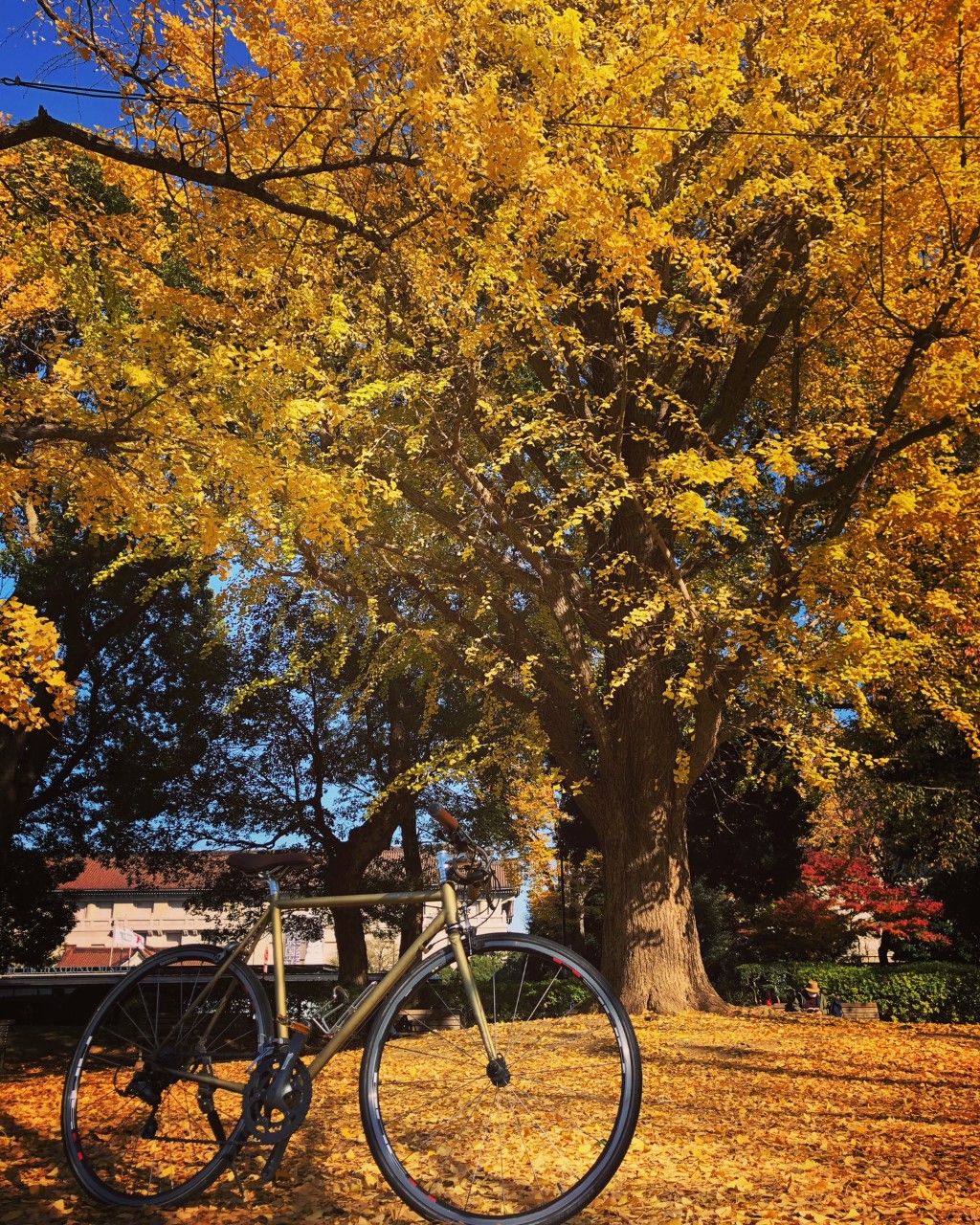 ueno-park tokyobiketour