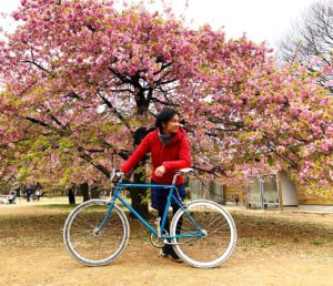 cherry blossoms tokyo bike tour