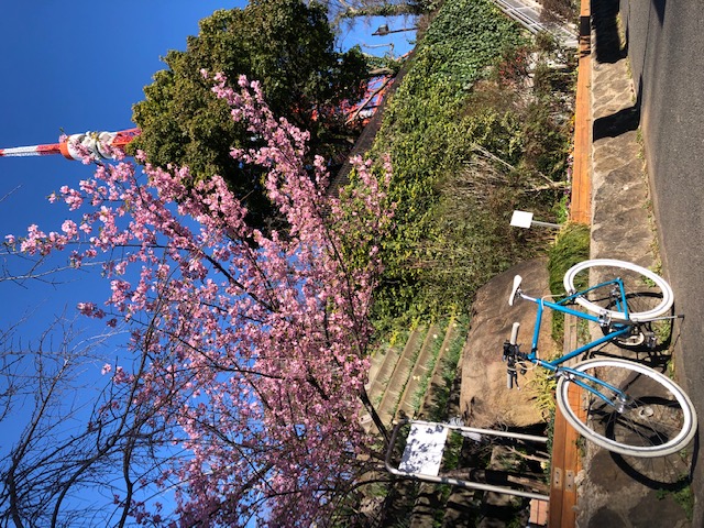 Soshi's Tokyo Bike Tour