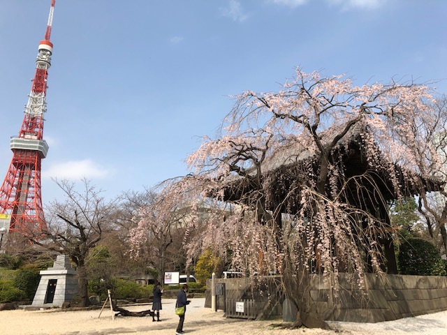 tokyo tower