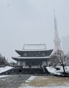 Tokyo bike tour in snow