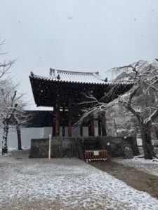 Tokyo bike tour in snow