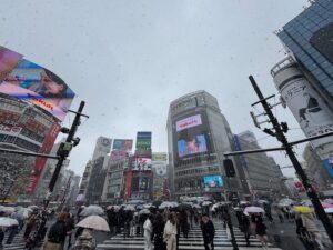 Tokyo bike tour in snow