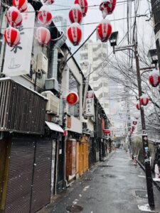 Tokyo bike tour in snow