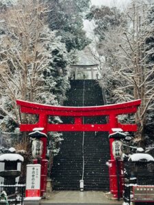 Tokyo bike tour in snow