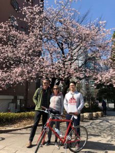 cherry blossom tokyo bike tour