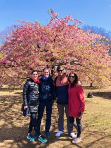 cherry blossoms tokyo bike tour