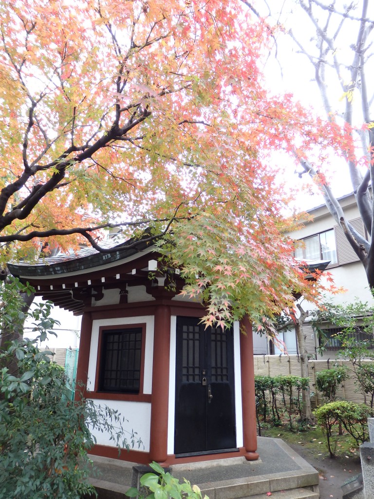 The ruins of the house for Okakura Tenshin Tokyo cycling Tour