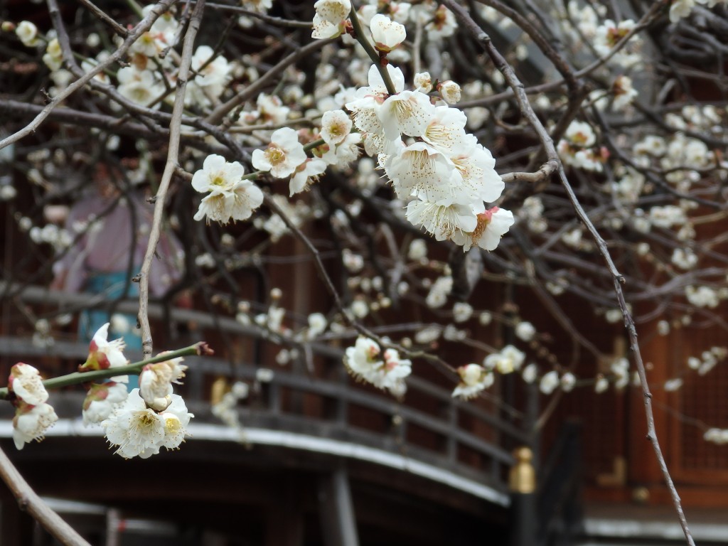 Yushima tenjin shrine