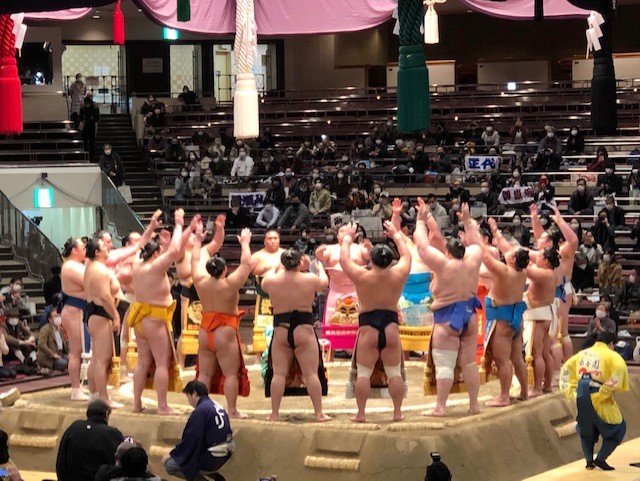 sumo