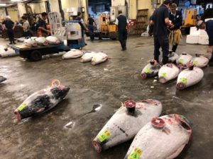 Tuna auction